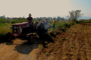 Gilad tractor i grup